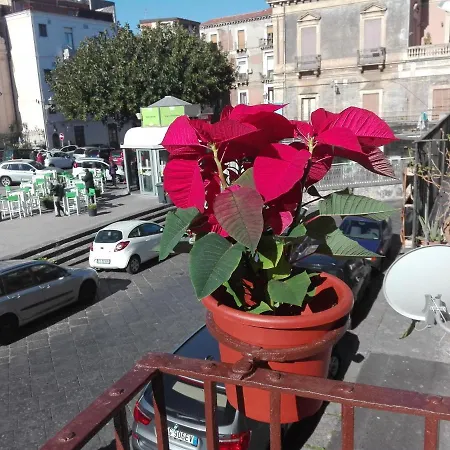 3aroom Konukevi *